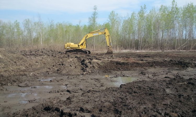 wetland2